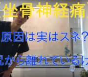 市川市 坐骨神経痛、坐骨神経痛 市川市、市川市坐骨神経痛、坐骨神経痛市川市、本八幡 坐骨神経痛、本八幡坐骨神経痛、坐骨神経痛 本八幡、坐骨神経痛本八幡