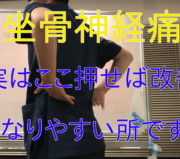 市川市 坐骨神経痛、坐骨神経痛 市川市、市川市坐骨神経痛、坐骨神経痛市川市、本八幡 坐骨神経痛、本八幡坐骨神経痛、坐骨神経痛 本八幡、坐骨神経痛本八幡