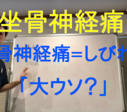 市川市 坐骨神経痛、坐骨神経痛 市川市、市川市坐骨神経痛、坐骨神経痛市川市、本八幡 坐骨神経痛、本八幡坐骨神経痛、坐骨神経痛 本八幡、坐骨神経痛本八幡