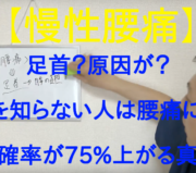 市川市 腰痛、市川 腰痛、腰痛 市川市 腰痛 市川、本八幡 腰痛、腰痛 本八幡、市川市 腰痛 おすすめ、市川市 腰痛 口コミ、市川市 腰痛 ストレッチ、市川市 腰痛 セルフケア、腰痛 セルフケア