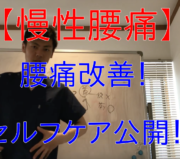 市川市 腰痛、市川 腰痛、腰痛 市川市 腰痛 市川、本八幡 腰痛、腰痛 本八幡、市川市 腰痛 おすすめ、市川市 腰痛 口コミ、市川市 腰痛 ストレッチ、市川市 腰痛 セルフケア、腰痛 セルフケア