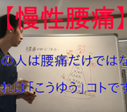 市川市 腰痛、市川 腰痛、腰痛 市川市 腰痛 市川、本八幡 腰痛、腰痛 本八幡、市川市 腰痛 おすすめ、市川市 腰痛 口コミ、市川市 腰痛 ストレッチ、市川市 腰痛 セルフケア、腰痛 セルフケア