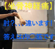 市川市 坐骨神経痛、坐骨神経痛 市川市、市川市坐骨神経痛、坐骨神経痛市川市、本八幡 坐骨神経痛、本八幡坐骨神経痛、坐骨神経痛 本八幡、坐骨神経痛本八幡