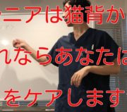 市川市 ヘルニア、市川 ヘルニア、市川市 椎間板ヘルニア、市川 椎間板ヘルニア、ヘルニア 市川市、ヘルニア 市川、市川市ヘルニア、市川ヘルニア、ヘルニア市川市、ヘルニア市川