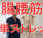 変形性腰椎症、市川市 腰痛、市川 腰痛、腰痛 市川市 腰痛 市川、本八幡 腰痛、腰痛 本八幡、市川市 腰痛 おすすめ、市川市 腰痛 口コミ、市川市 腰痛 ストレッチ