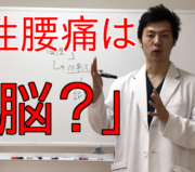 市川市 腰痛、市川 腰痛、腰痛 市川市 腰痛 市川、本八幡 腰痛、腰痛 本八幡、市川市 腰痛 おすすめ、市川市 腰痛 口コミ、市川市 腰痛 ストレッチ、市川市 腰痛 セルフケア、腰痛 セルフケア