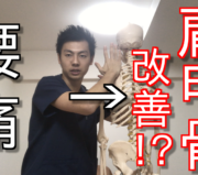 市川市 腰痛,市川 腰痛,腰痛 市川市 ,腰痛 市川,本八幡 腰痛,腰痛 本八幡,市川市 腰痛 おすすめ,市川市 腰痛 口コミ,市川市 腰痛 ストレッチ,市川市 腰痛 セルフケア,腰痛 セルフケア,腰痛体操