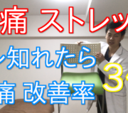市川市 腰痛,市川 腰痛,腰痛 市川市 ,腰痛 市川,本八幡 腰痛,腰痛 本八幡,市川市 腰痛 おすすめ,市川市 腰痛 口コミ,市川市 腰痛 ストレッチ,市川市 腰痛 セルフケア,腰痛 セルフケア,腰痛体操