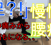 市川市 腰痛,市川 腰痛,腰痛 市川市 ,腰痛 市川,本八幡 腰痛,腰痛 本八幡,市川市 腰痛 おすすめ,市川市 腰痛 口コミ,市川市 腰痛 ストレッチ,市川市 腰痛 セルフケア,腰痛 セルフケア,腰痛体操