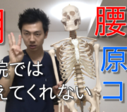 市川市 腰痛,市川 腰痛,腰痛 市川市 ,腰痛 市川,本八幡 腰痛,腰痛 本八幡,市川市 腰痛 おすすめ,市川市 腰痛 口コミ,市川市 腰痛 ストレッチ,市川市 腰痛 セルフケア,腰痛 セルフケア,腰痛体操