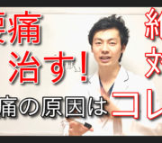 市川市 腰痛,市川 腰痛,腰痛 市川市 ,腰痛 市川,本八幡 腰痛,腰痛 本八幡,市川市 腰痛 おすすめ,市川市 腰痛 口コミ,市川市 腰痛 ストレッチ,市川市 腰痛 セルフケア,腰痛体操,腰痛筋膜リリース.腰痛筋膜はがし.市川市腰痛治療,市川市腰痛治す,腸腰筋ストレッチ,腰痛体操,市川市腰痛専門,腰痛原因,市川市 ヘルニア,本八幡 ヘルニア